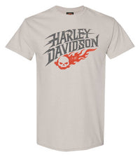 Harley-Davidson Men's Thunder Roll Short Sleeve Crew-neck T-Shirt, Cement Gray