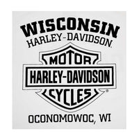 Harley-Davidson® Men's Distressed Freedom Fighter Long Sleeve Shirt, White