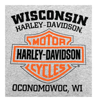 Harley-Davidson® Men's T-Shirt, Long Sleeve Tee, Heritage H-D Gray 30296638